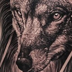 Tattoos - Wolf Sleeve - 143811